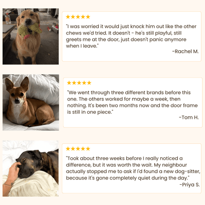 Advanced Calming Chews